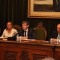 Pleno ayuntamiento de Castellón
