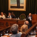 Pleno ayuntamiento de Castellón