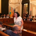 Pleno ayuntamiento de Castellón