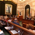 Pleno ayuntamiento de Castellón