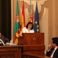 Pleno ayuntamiento de Castellón