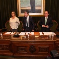 Pleno ayuntamiento de Castellón