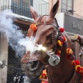 Castellón, XVI Trobada de Bèsties de Foc 2015