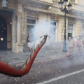 Castellón, XVI Trobada de Bèsties de Foc 2015