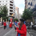 Castellón, XVI Trobada de Bèsties de Foc 2015
