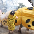 Castellón, XVI Trobada de Bèsties de Foc 2015