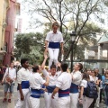 Castellón, XVI Trobada de Bèsties de Foc 2015