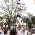 Castellón, XVI Trobada de Bèsties de Foc 2015