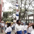 Castellón, XVI Trobada de Bèsties de Foc 2015