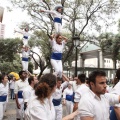 Castellón, XVI Trobada de Bèsties de Foc 2015