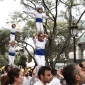 Castellón, XVI Trobada de Bèsties de Foc 2015