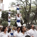Castellón, XVI Trobada de Bèsties de Foc 2015