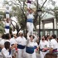 Castellón, XVI Trobada de Bèsties de Foc 2015