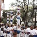 Castellón, XVI Trobada de Bèsties de Foc 2015