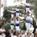 Castellón, XVI Trobada de Bèsties de Foc 2015
