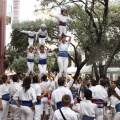 Castellón, XVI Trobada de Bèsties de Foc 2015