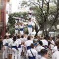 Castellón, XVI Trobada de Bèsties de Foc 2015