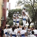 Castellón, XVI Trobada de Bèsties de Foc 2015
