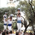 Castellón, XVI Trobada de Bèsties de Foc 2015