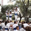 Castellón, XVI Trobada de Bèsties de Foc 2015