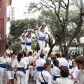 Castellón, XVI Trobada de Bèsties de Foc 2015
