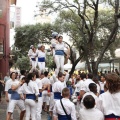 Castellón, XVI Trobada de Bèsties de Foc 2015