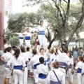 Castellón, XVI Trobada de Bèsties de Foc 2015