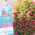 Castellón, Ruta Catorce 2015