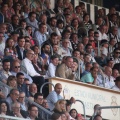 Castellón, 2015