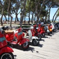 Vespazahar 2015