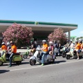 Vespazahar 2015
