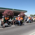 Vespazahar 2015