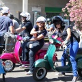 Vespazahar 2015