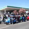 Vespazahar 2015