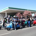 Vespazahar 2015