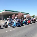 Vespazahar 2015