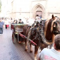 Corpus Christi