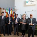 Premios Fadrí