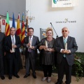 Premios Fadrí