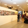 Castellón, 2015
