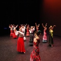 Castellón, XIX Festival de Danza Coppelia