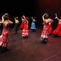 Castellón, XIX Festival de Danza Coppelia