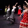 Castellón, XIX Festival de Danza Coppelia