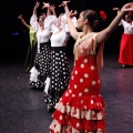 Castellón, XIX Festival de Danza Coppelia