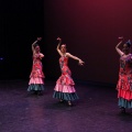 Castellón, XIX Festival de Danza Coppelia