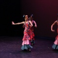 Castellón, XIX Festival de Danza Coppelia