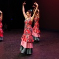 Castellón, XIX Festival de Danza Coppelia