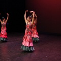 Castellón, XIX Festival de Danza Coppelia