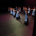 Castellón, XIX Festival de Danza Coppelia