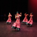 XIX Festival de Danza de COPPELIA